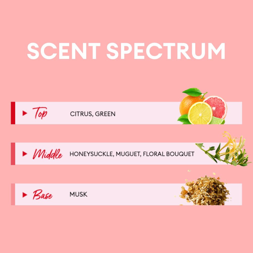 Fragrance chart titled “Scent Spectrum” with a pink background. It shows three fragrance layers: the Top note includes Citrus and Green scents (illustrated with grapefruit and lemon); the Middle note features Honeysuckle, Muguet, and Floral Bouquet (with honeysuckle flowers); and the Base note is Musk (shown with dried musk ingredients). Fragrance chart titled “Scent Spectrum” with a pink background. It shows three fragrance layers: the Top note includes Citrus and Green scents (illustrated with grapefruit and lemon); the Middle note features Honeysuckle, Muguet, and Floral Bouquet (with honeysuckle flowers); and the Base note is Musk (shown with dried musk ingredients).