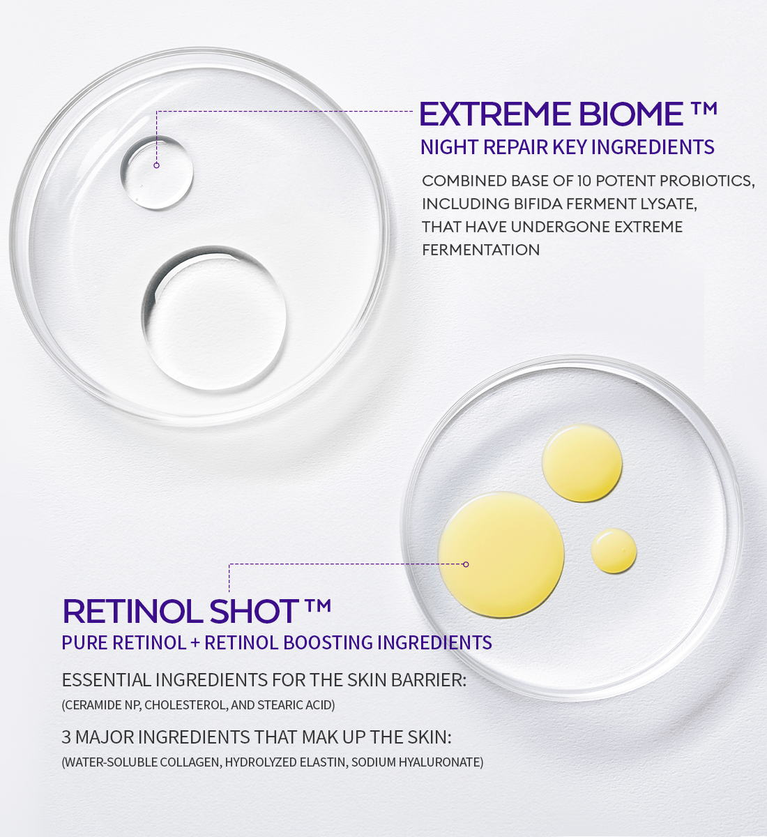 Graphic showing MISSHA’s key ingredients: two glass petri dishes filled with clear and yellow liquid textures. The top section highlights “Extreme Biome™” with 10 potent probiotics for night repair, while the bottom features “Retinol Shot™” with pure retinol, boosting ingredients, and skin barrier essentials like ceramide, collagen, and hyaluronic acid. Graphic showing MISSHA’s key ingredients: two glass petri dishes filled with clear and yellow liquid textures. The top section highlights “Extreme Biome™” with 10 potent probiotics for night repair, while the bottom features “Retinol Shot™” with pure retinol, boosting ingredients, and skin barrier essentials like ceramide, collagen, and hyaluronic acid.