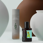 MISSHA Artemisia Calming Essence and Artemisia Calming Ampoule featuring a Teletubbies character on the label, displayed among minimalist ceramic vases.