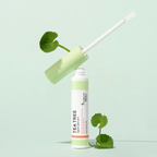 Tea tree skin serum bottle with green leaves on a light green background