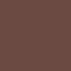 solid brown color swatch