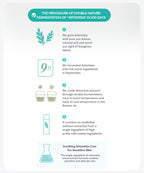 Artemisia Calming Ampoule