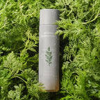 Studio shot of the gray, cylindrical bottle of Missha Artemisia Calming Essence resting amongst lush green artemisia (mugwort) leaves with water droplets. This highlights the product's natural, soothing ingredients for calming sensitive and irritated skin