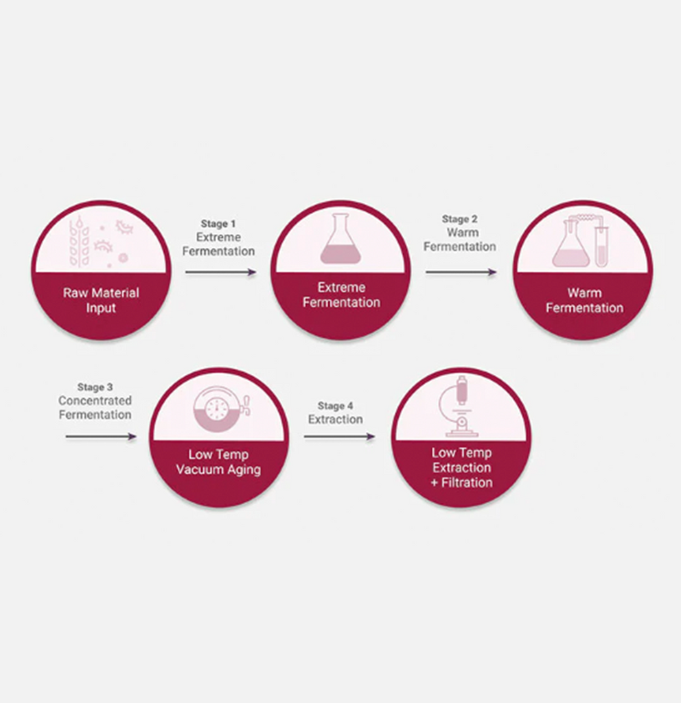 Time Revolution The First Essence 5X