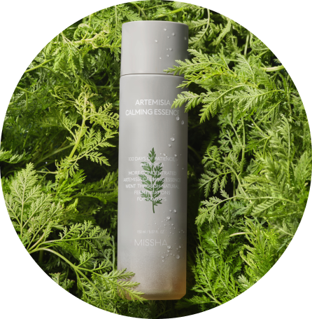 A gray bottle of Misshas Artemisia Calming Essence surrounded by lush green leaves, showcasing a natural skincare product.