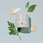 MISSHA Artemisia Calming Moisture Cream jar placed on a light blue background with cream swatches and Artemisia leaves, emphasizing its hydrating, soothing texture and natural calming ingredients.