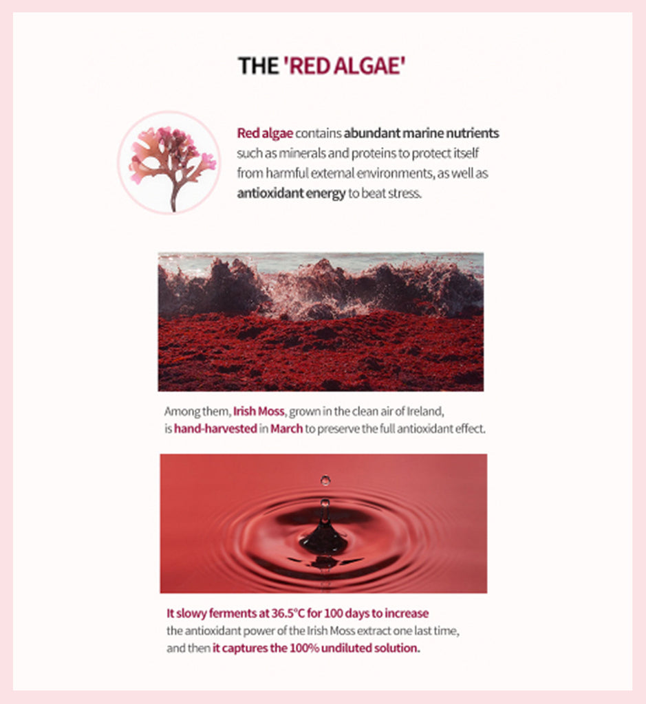 Time Revolution Red Algae Treatment Essence