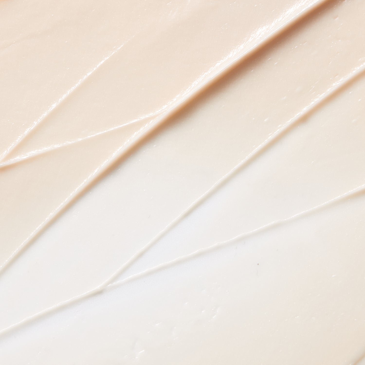 Gozal jinsiy dengiz Gozal jinsiy dengiz